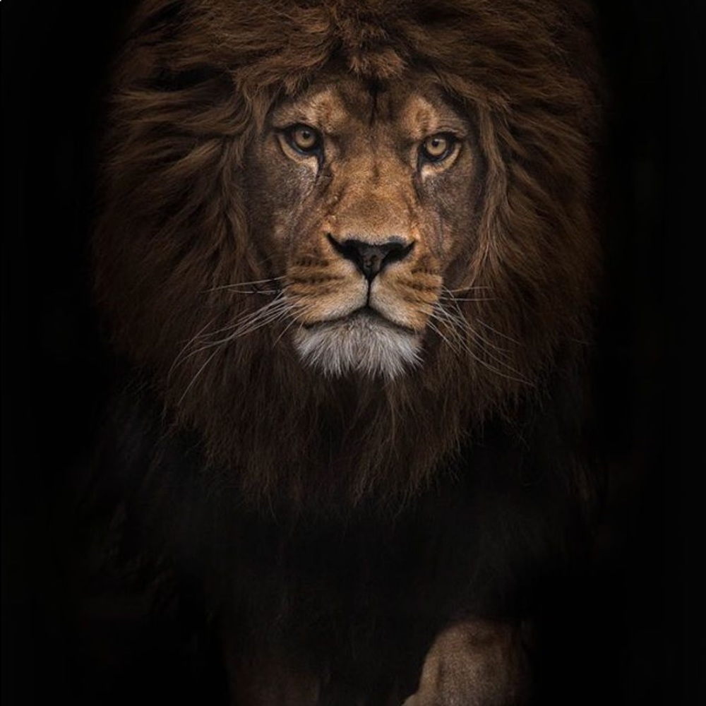 Meet your Posher, Sabtain